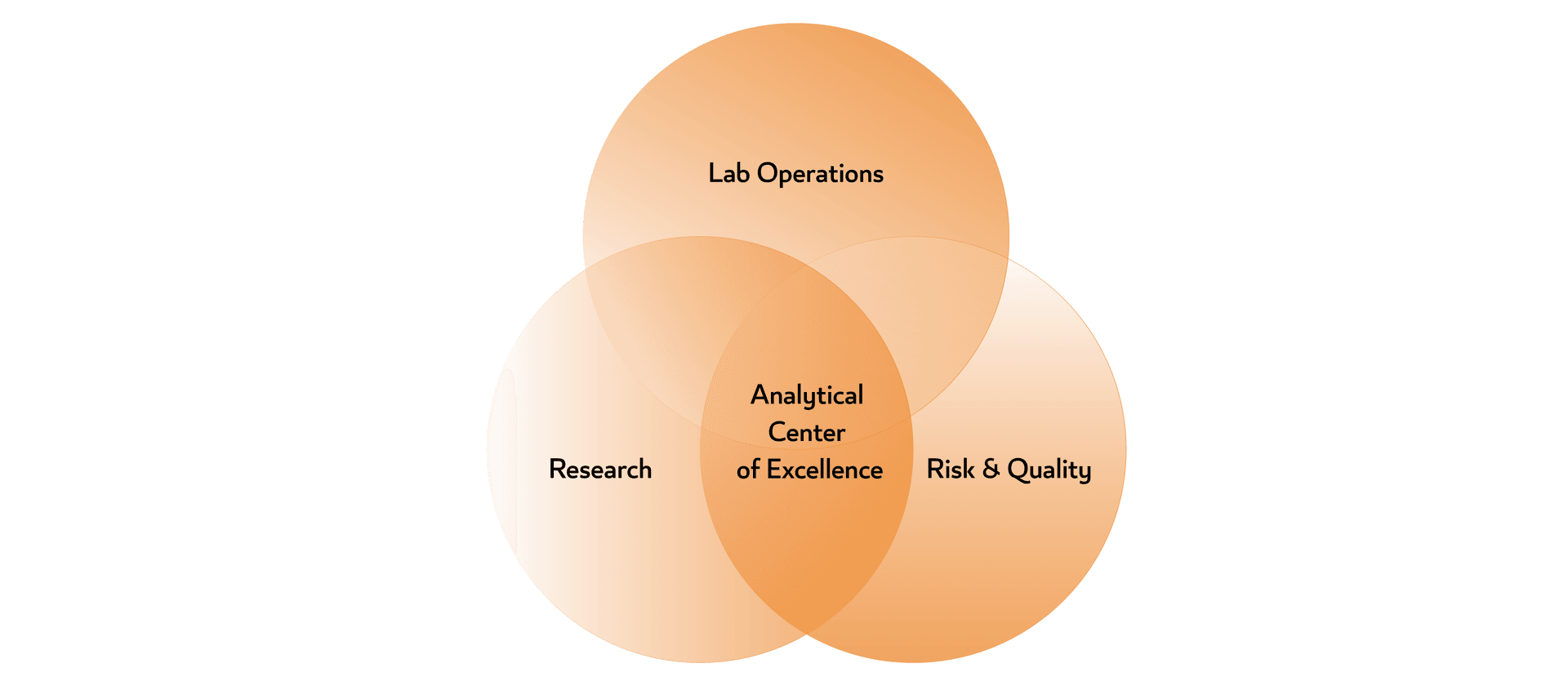 Board of Trustees (BOT) 28th Meeting Highlights!